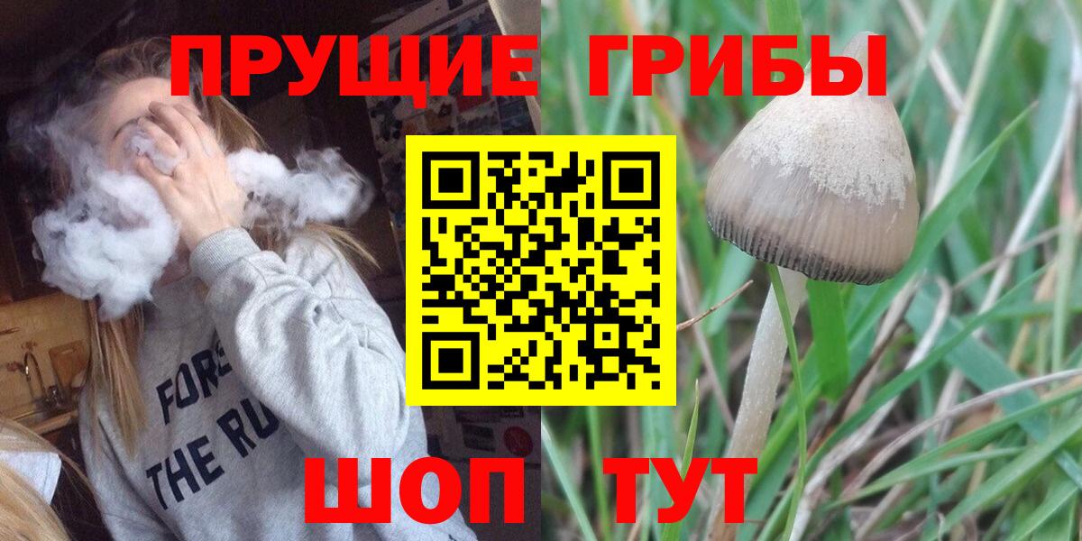 Галлюциногенные грибы Psilocybine cubensis Вышний Волочёк