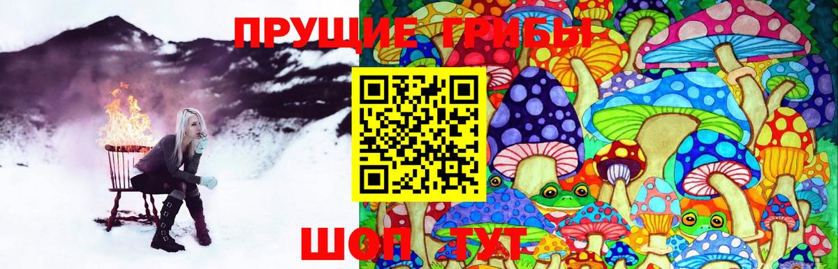 Вышний Волочёк  Галлюциногенные грибы мицелий  Вход с VPN 